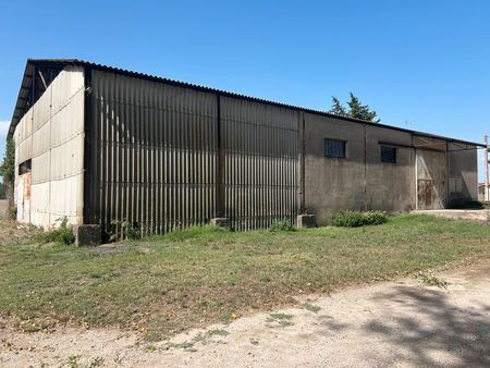 hangar à louer