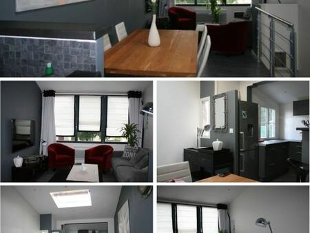 appartement style loft avenue jean guiton