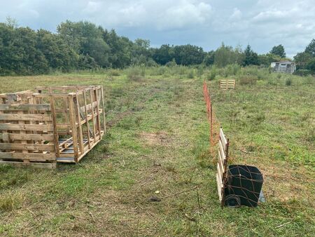 terrain pour animaux