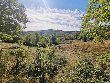 très beau terrain en pleine nature  plus d'un hectare