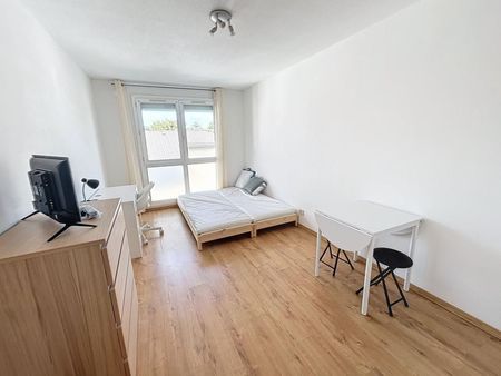 studio 1 pièce 20 m²