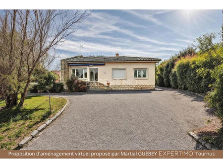 vente maison à tournus (71700) : à vendre / 81m² tournus