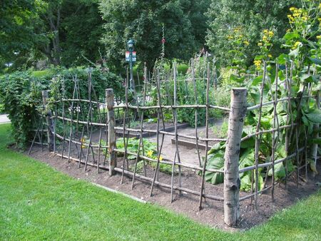 terrain pour jardin