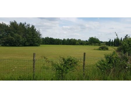 vente terrain 540 m²