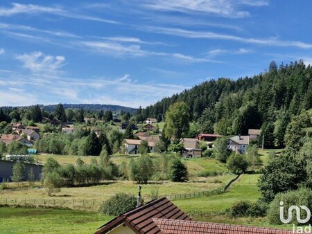 vente terrain de 20 m² à le tholy (88530)