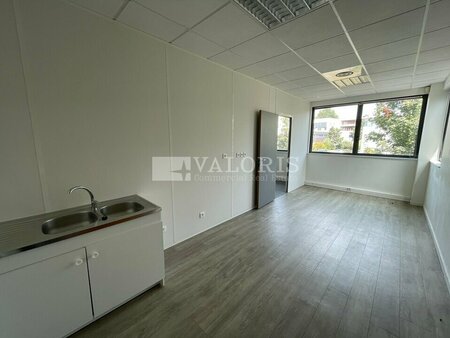 local professionnel - 434m² - limonest