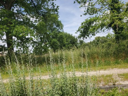 terrain à bâtir à mimizan (40200)