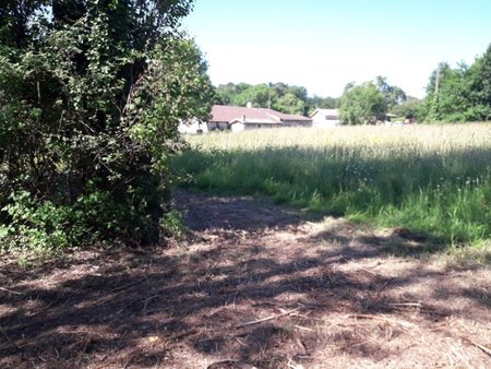 terrain à bâtir à gauriaguet (33240)