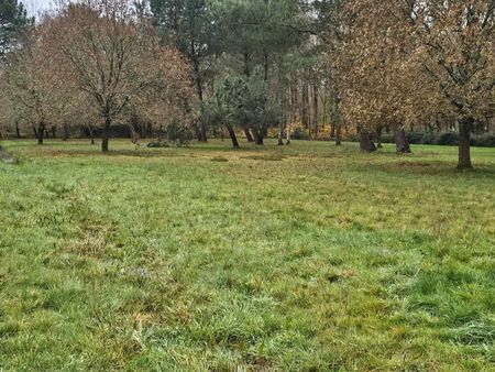 terrain à bâtir de 2520 m² à louchats (33)