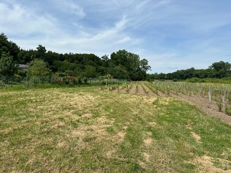 terrain à bâtir à portets (33640)