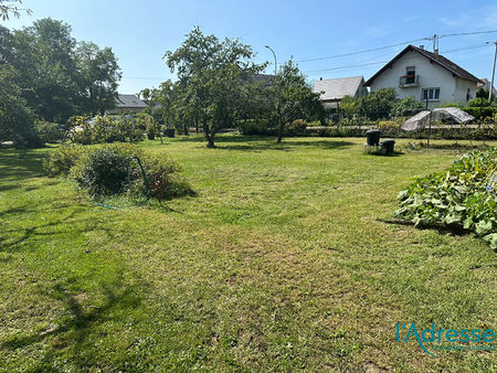 vente terrain  1000.00m²  fessenheim