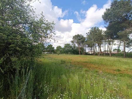 terrain à bâtir à saint-aubin-de-médoc (33160)