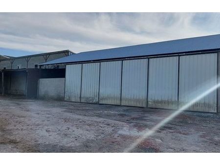 vente commerce 5 pièces 1400 m² fontenay-le-comte (85200)