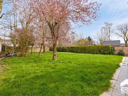 maison à vendre à wingene € 345.000 (kvkvr) - era - vastgoed centrum | zimmo