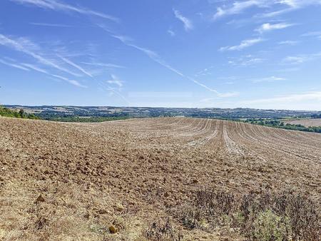 terrain agricole