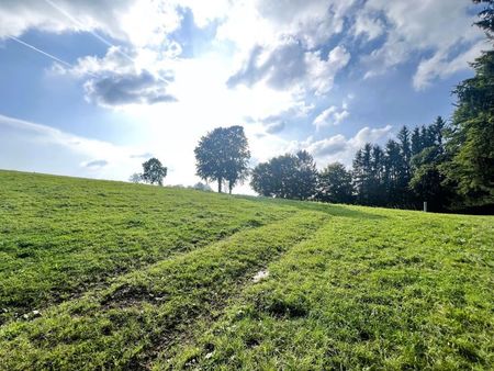 superbes terrains à champagne