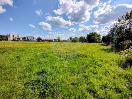 vente terrain 4945 m²