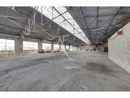 vente locaux professionnels 1383 m²