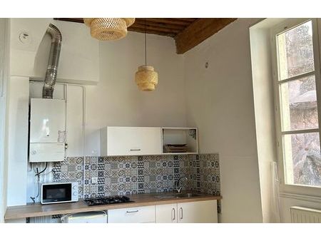 location appartement 2 pièces 46 m² lyon 1 (69001)