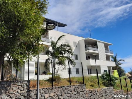 a louer appartements du t3 et t5 colline des camélias à saint denis de la reunion