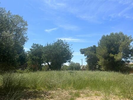 dernières opportunités - terrains grau d'agde