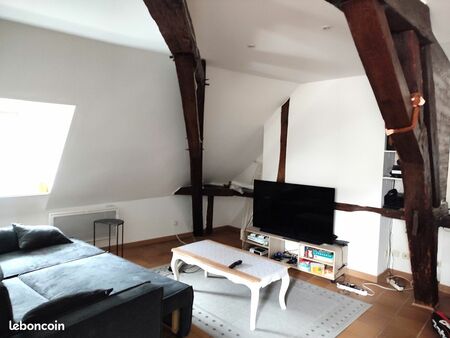 location grand duplex t3 meublé 78 m2 hyper centre auxerre - dispo octobre