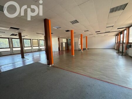 location locaux professionnels 250 m²