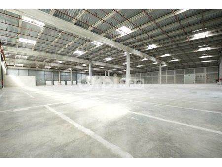 local logistique 5 887 m²