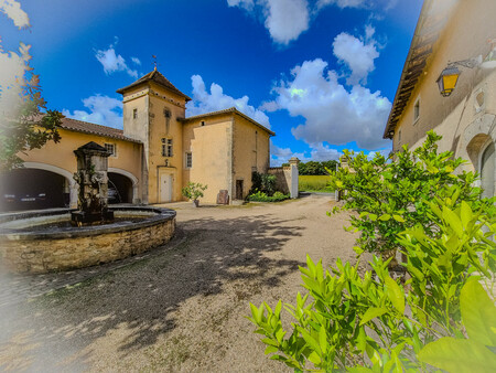 superbe domaine avec deux maisons  piscine et parc arboré de 9000m²