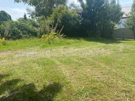 vente terrain à rouans (44640) : à vendre / rouans