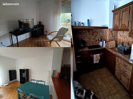 appartement meublé 2 pièces 52 m²