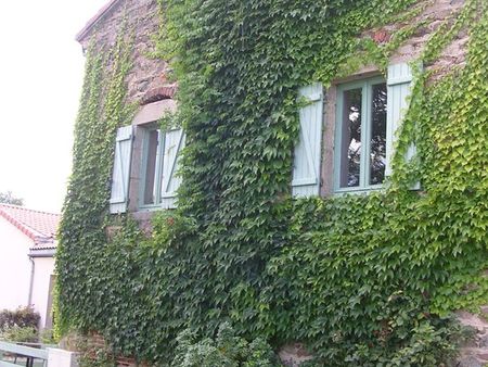 petite maison à louer