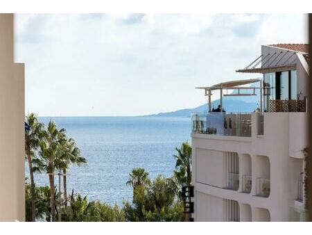 dans le centre de cannes  à deux pas du vieux-port et de la croisette  splendide...