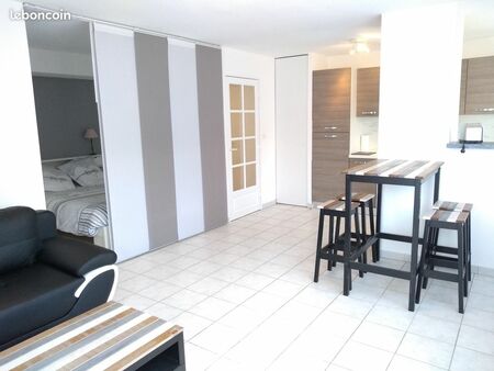 appartement t1bis avec garage  minimes/st eloi