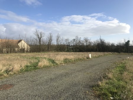 terrain constructible viabilisé de 557m² à précigné