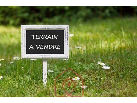 terrain constructible