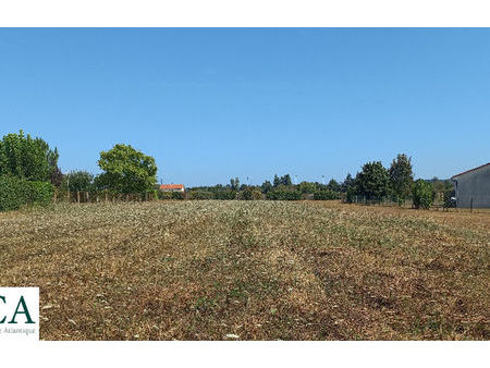 vente terrain 1250 m² saint-médard-de-mussidan (24400)