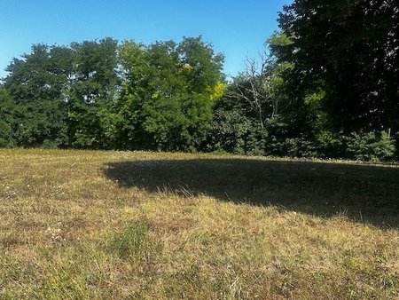 terrain à bâtir à saint-andré-de-cubzac (33240)