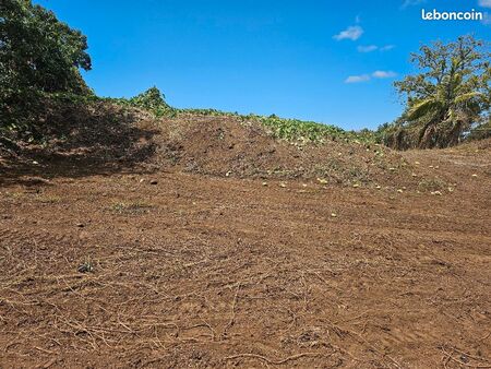 petite parcelle agricole de 2000m2