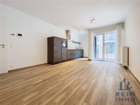 bel appartement 1 ch avec terrasse - lln