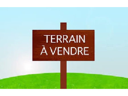 terrain saint paul a vendre - 13 000 m2