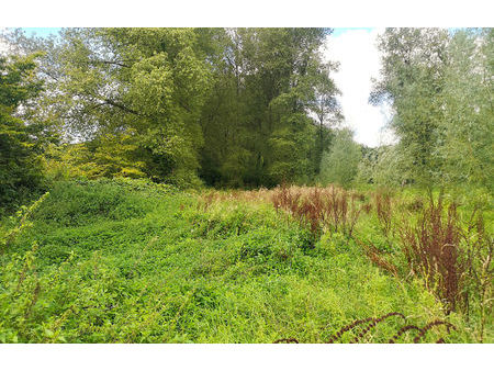 vente terrain 10000 m² avesnes-le-comte (62810)