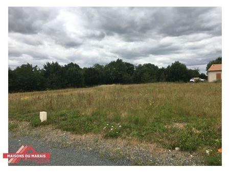 vente terrain à béceleuf (79160) : à vendre / béceleuf