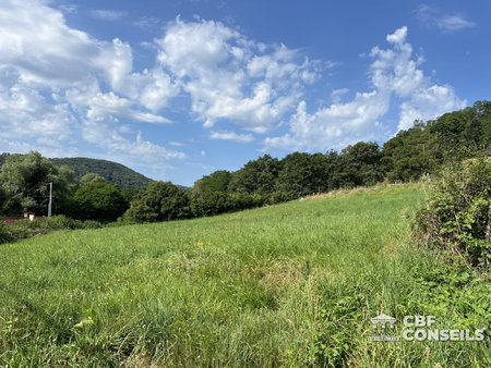 terrain à vendre saint-sernin-du-bois