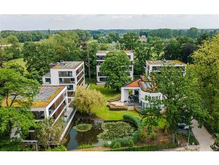 appartement te huur in sint-niklaas met 2 slaapkamers