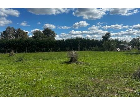 vente terrain 800 m² camps-sur-l'isle (33660)