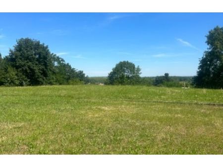 vente terrain 1300 m² libourne (33500)