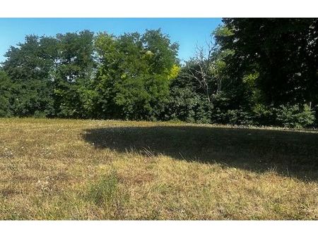 vente terrain 700 m² saint-andré-de-cubzac (33240)