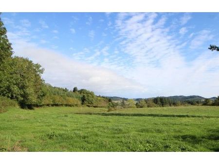 vente terrain 2962 m² la clayette (71800)