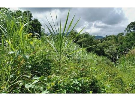 vente terrain 5303 m² gros-morne (97213)